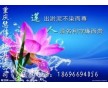 重慶到嘉興轎車(chē)托運(yùn)公司