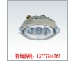 BYH系列防爆環(huán)形熒光燈