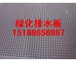 山東地下室塑料排水板#樓頂綠化HDPE防水板