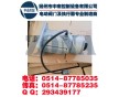 中南電動(dòng)執(zhí)行器DKZ-310、DKZ-410單相伺服電動(dòng)機(jī)