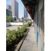 莆田工程監(jiān)理公司：專業(yè)的工程監(jiān)理哪家提供