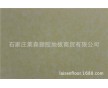 會議室 辦公室展廳 醫(yī)院地板 密實(shí)型pvc 塑膠地板 車間可用 耐磨