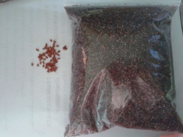 certification-photo1